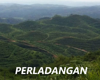 Perladangan