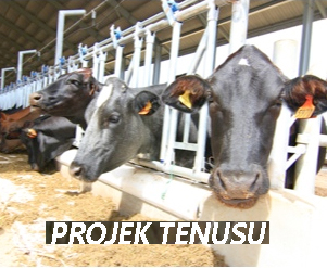 Projek Tenusu